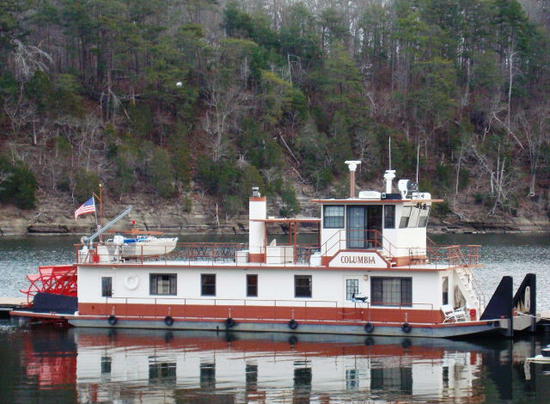 8178.jpg