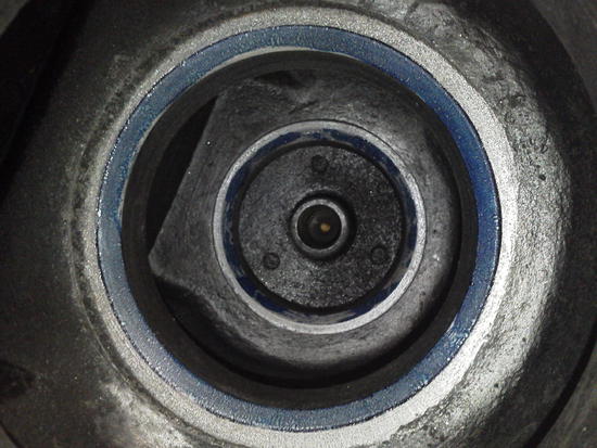 8107.jpg